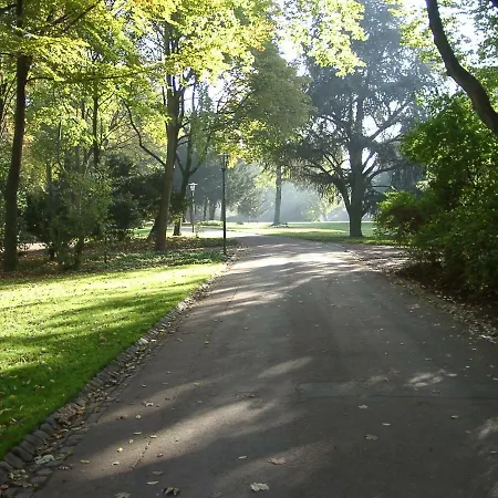 Modernes, Sonniges Im Herzen Von Düsseldorf