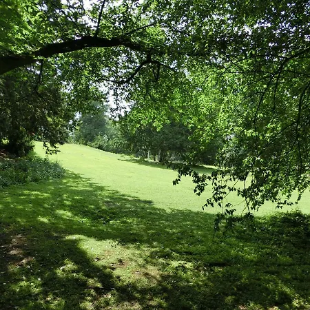 Apartment Modernes, Sonniges Im Herzen Von Düsseldorf