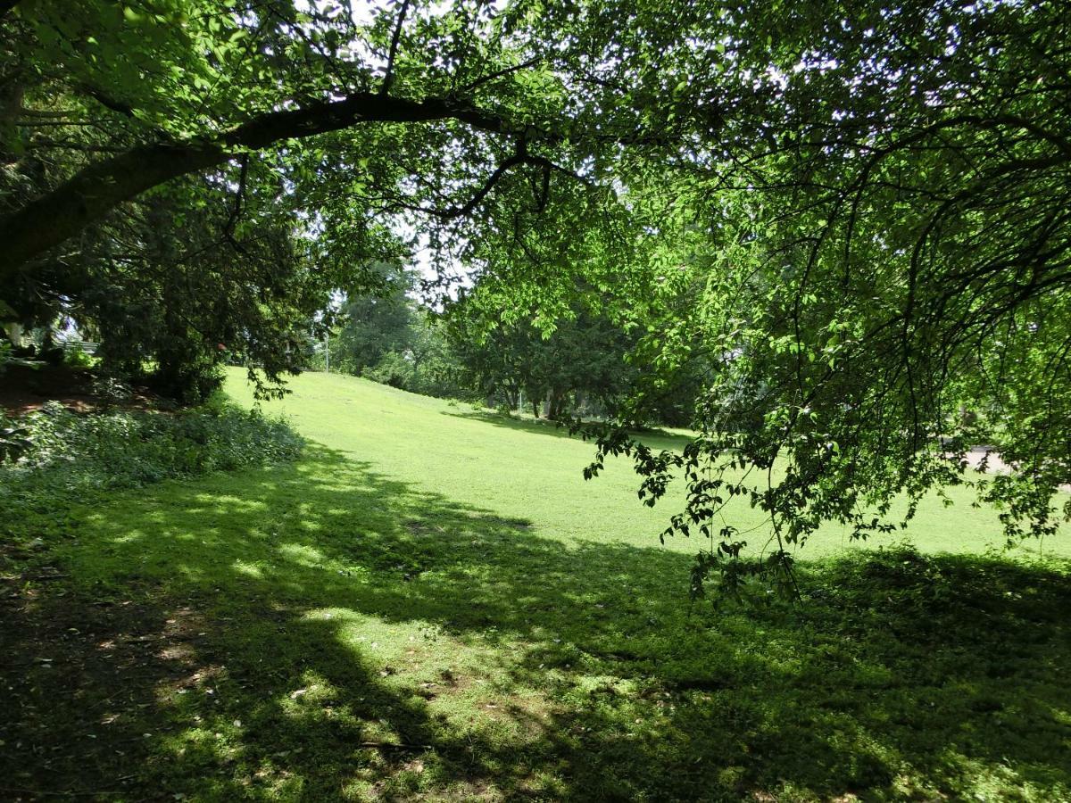 Apartment Modernes, Sonniges Im Herzen Von Dusseldorf